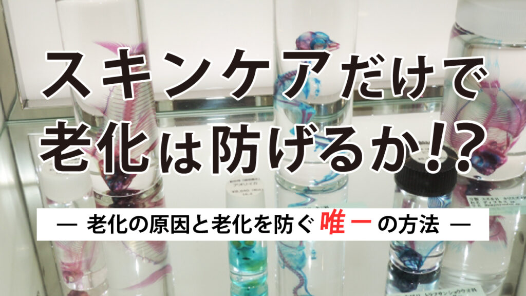 スキンケアだけで老化は防げるのか？ー老化の原因と老化を防ぐ"唯一"の方法ー